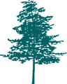 Sawmill Maintenance Supervisor - Job Listing